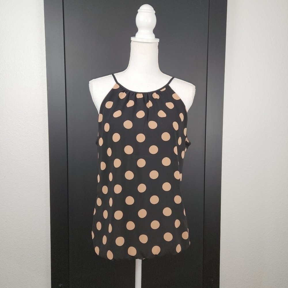 Nwot Express Black & Brown Polka Dot Halter Top Size Medium
